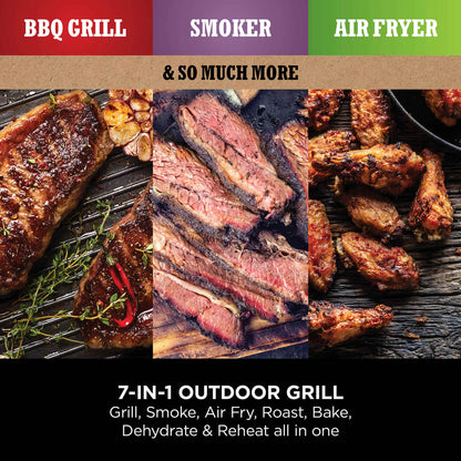 Woodfire Electric BBQ Grill & Smoker