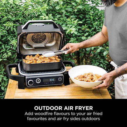 Woodfire Electric BBQ Grill & Smoker with Stand & Cover