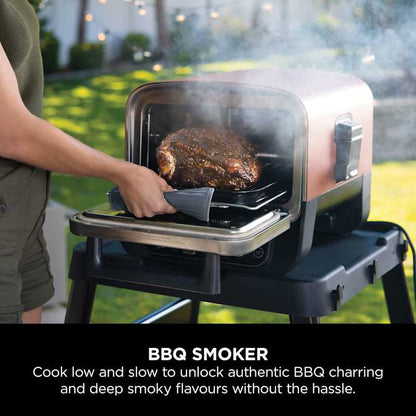 Woodfire Electric Outdoor Oven, Artisan Pizza Maker and BBQ Smoker