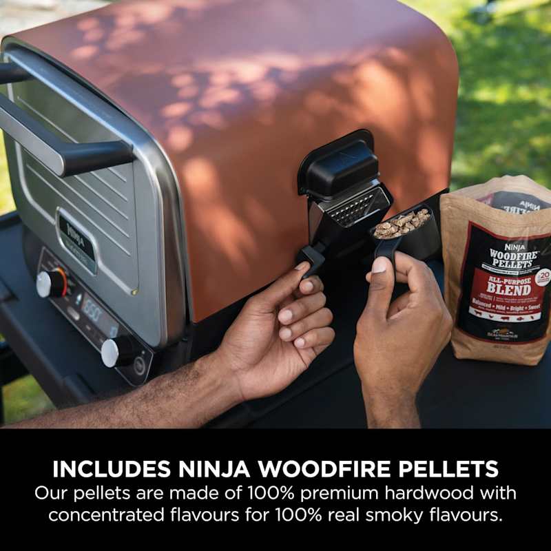 Woodfire Electric Outdoor Oven, Artisan Pizza Maker and BBQ Smoker