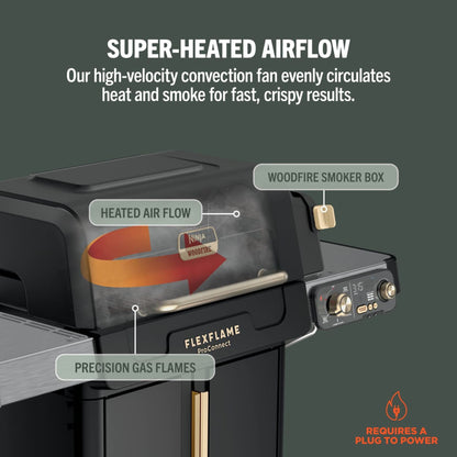 FlexFlame ProConnect Gas BBQ & Outdoor Cooking System Ultimate 5-in-1 Bundle - Black & Stainless Steel