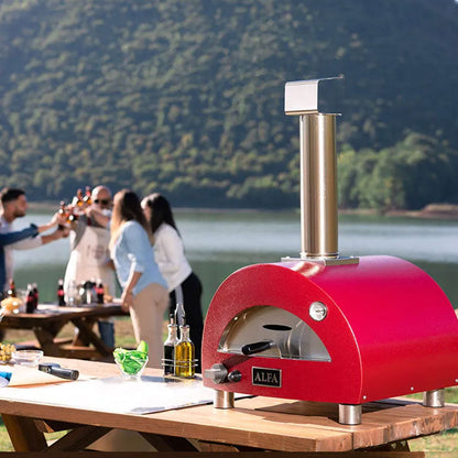 Modern Portable Gas-Fired Outdoor Pizza Oven