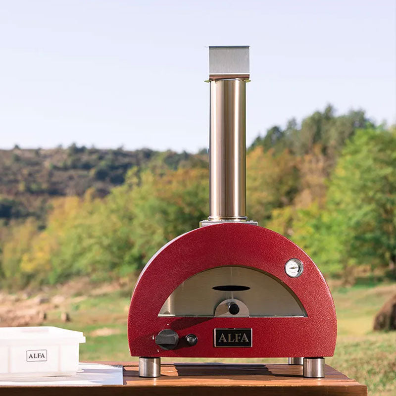 Modern Portable Gas-Fired Outdoor Pizza Oven