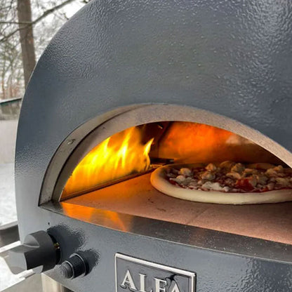 Modern Portable Gas-Fired Outdoor Pizza Oven