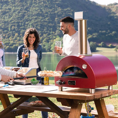 Modern Portable Gas-Fired Outdoor Pizza Oven